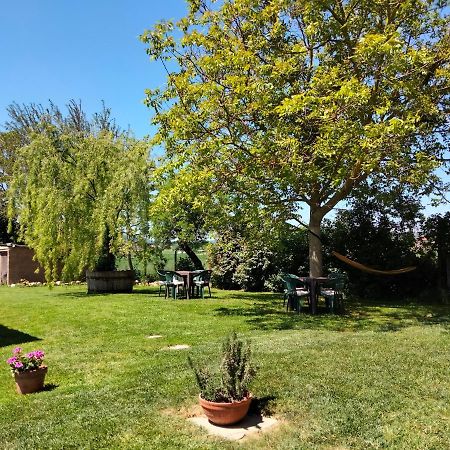 Podere Alberello Торрита-ди-Сьена Экстерьер фото