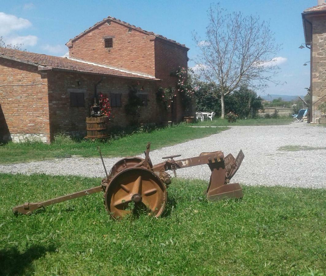 Podere Alberello Торрита-ди-Сьена Экстерьер фото